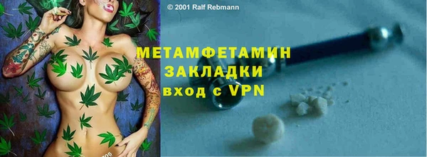 шишки Слюдянка