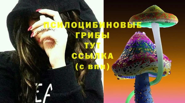 ALPHA-PVP Снежногорск