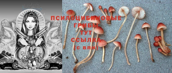 каннабис Баксан